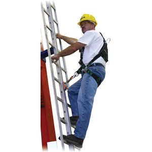 Ladder Climbing System