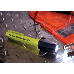 Intrinsically Safe Flashlight