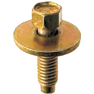 Body Bolt