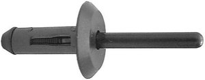 Rivets