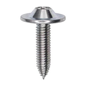 法螺貝36.1cm 法螺貝36.1cm 法螺貝36.1cm KAWASAKI NINJA ZX6R ZX636