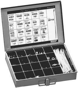 Fastenal stock options